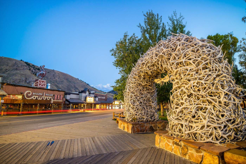 Jackson Hole Antlers